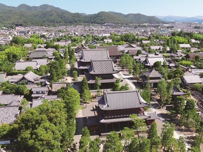 等持院・妙心寺 特別参拝