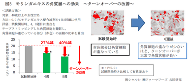 図3　モリンガエキスの角質層への効果　～ターンオーバーの改善～