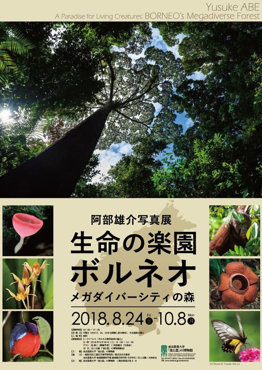 写真家の阿部 雄介氏による熱帯雨林／ボルネオに注目した写真展
　第80回特別展を東京農大「食と農」の博物館で8月24日から開催