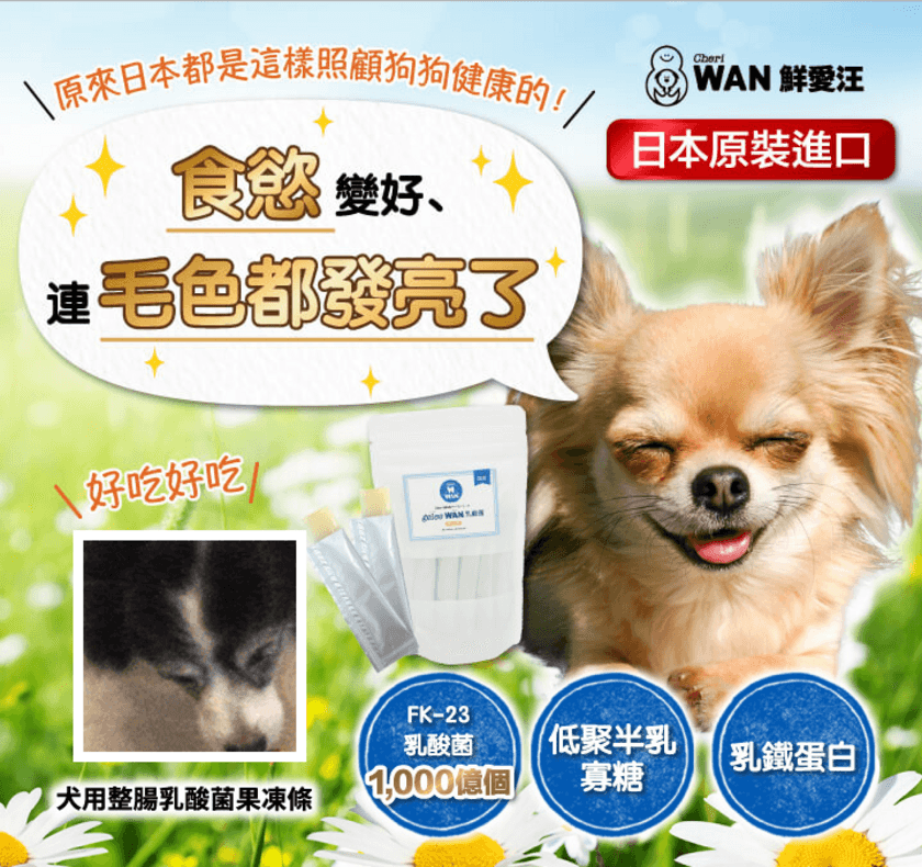 犬用サプリメント・おやつのブランドCheri WANから
「gelee WAN 乳酸菌」を台湾にて販売開始