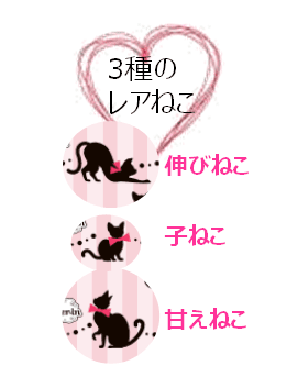 3種のレアねこ