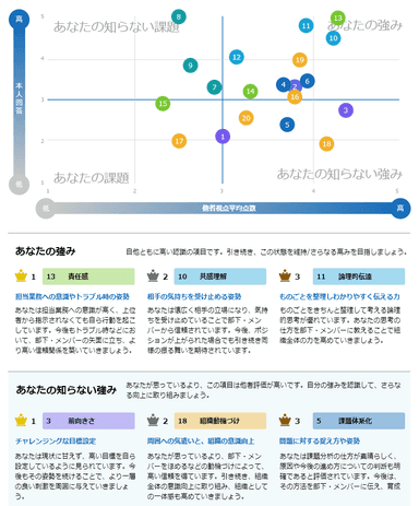 360度評価レポート(一部抜粋)