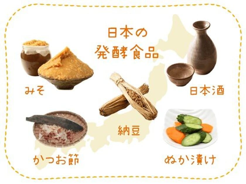 9月は『発酵食品と免疫について』
おかめ「納豆サイエンスラボ」が連載コラムを更新