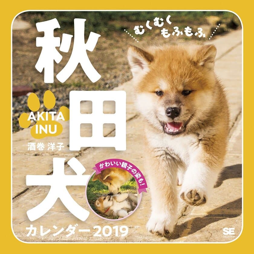 むくむく、もふもふな、秋田犬のカレンダー登場！