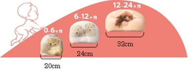 赤ちゃんの頭の成長に合わせて選べるサイズ