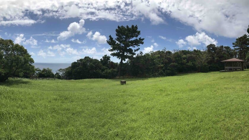 大自然との一体化を体感し、自然への配慮を考える　
下田海岸清掃・冥想研修に全国から会社役員が殺到中