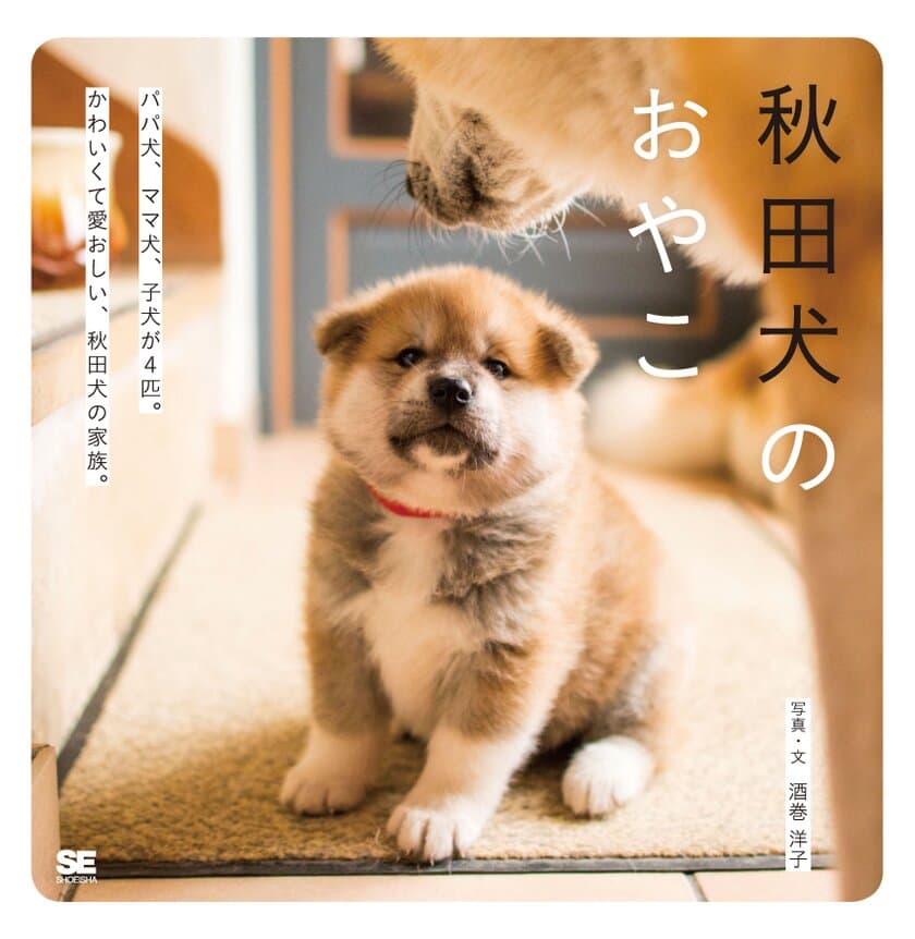 フランスで生まれた、
かわいい秋田犬の赤ちゃんの写真集
『秋田犬のおやこ』