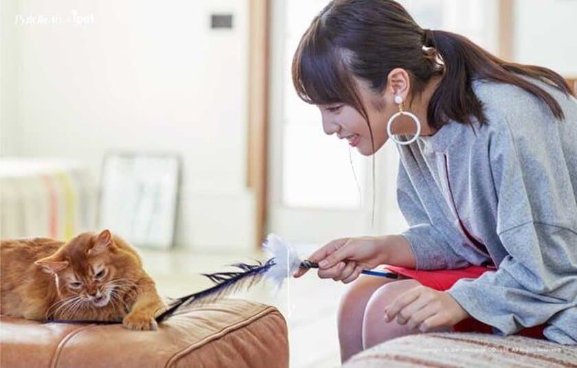 【ペット保険のアイペット】
与田祐希の飼い猫を白石麻衣が診察！？
『犬と、猫と、乃木坂と。』第2話公開
乃木坂46オリジナル賞品が当たるキャンペーンも開始