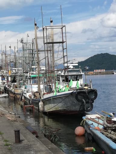 琵琶湖沖島