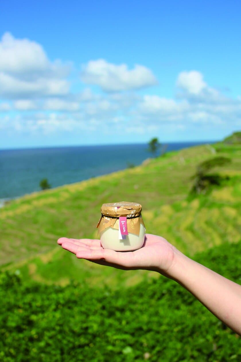 超希少！幻の米「白米千枚田」のお米を使用した、
もっちり、なめらか食感のプリンが新登場！
輪島プリン専門店『la reves』にて9月30日より販売開始！