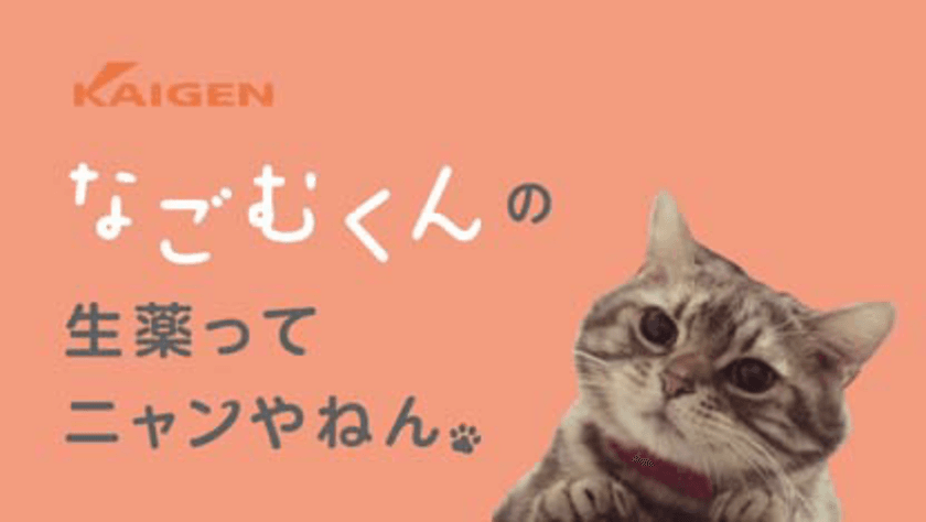 かぜ薬「改源」のCMに、SNSで人気の猫・なごむくんが登場！
“ニャン”ともかわいい電車内ビジョン広告を
10月8日(月)より関東・関西で放映