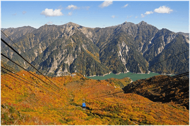 紅葉の、後立山連峰と黄金色のタンボ平《大観峰～黒部平》