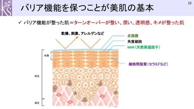 慶田先生発表時のスライド