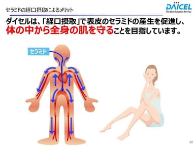 向井の発表時のスライド