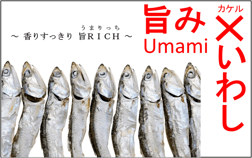 池田糖化発！香りすっきり旨RICH(うまりっち)
“旨みいわし節エキス”の拡販を開始