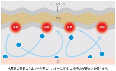 発熱の秘密