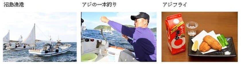 「沼島特産干物セット」などが当たる！
まる特別ウェブサイト「白鶴丸が行く」で
沼島篇プレゼントキャンペーン開催!!