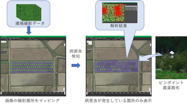 ピンポイント農薬散布イメージ