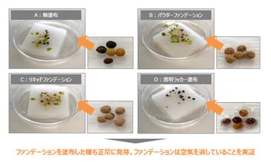 実証実験(2)