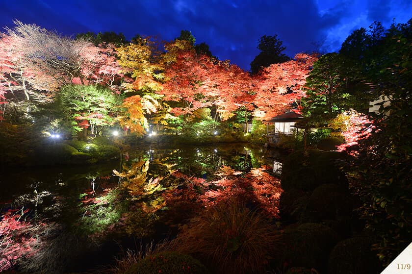 秋の絶景スポット！逍遥園ライトアップがスタート！
2018年10月25日(木)～11月15日(木)まで開催！
～日光全山の“もみじコレクション”を堪能しよう～