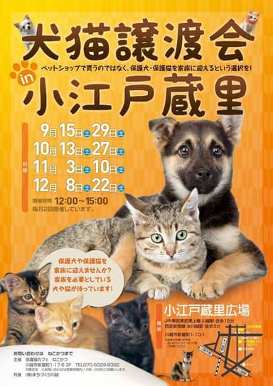 ねこかつ 犬猫譲渡会in蔵里