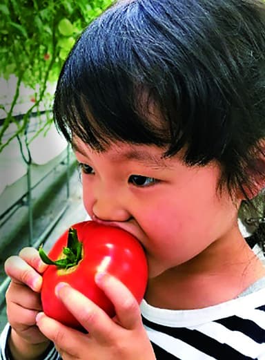 【子ども写真】