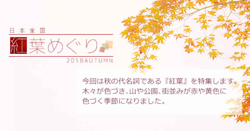 Webブック型共有サービス『board』“紅葉特集”を開催
　日本全国のSNS映えする紅葉の名所を一気読み！