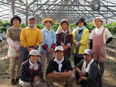 真剣にイチゴと向き合う農家さん