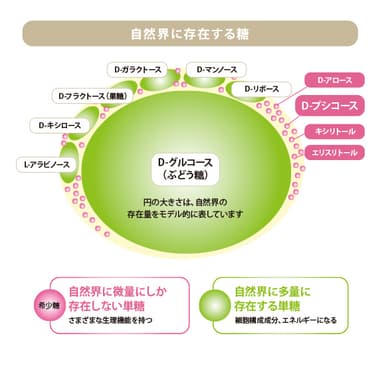 自然界に存在する糖のイメージ図