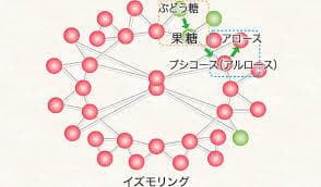 イズモリングイメージ図