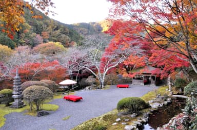 京都・洛北に佇む“秘密の庭園”への誘い