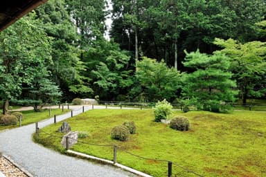 寺院での座禅・癒し体験 ～800年の歴史ある庭園を眺めて～