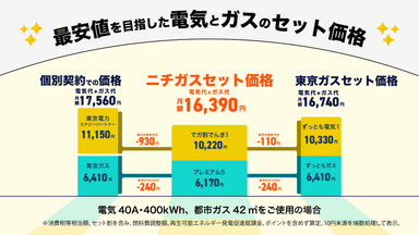 最安値を目指した電気とガスのセット価格