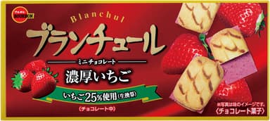 ブランチュールミニチョコ濃厚いちご