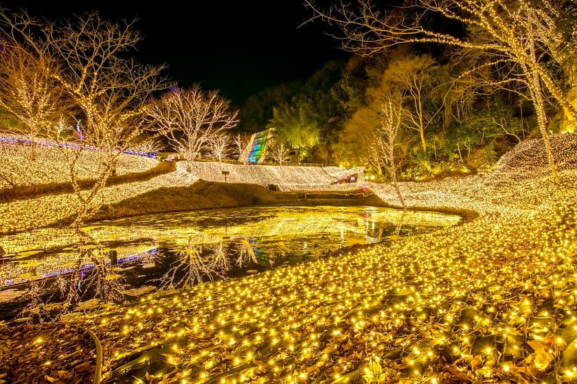 ネスタリゾート神戸のイルミネーション　
全国5,542名の夜景鑑賞士が選ぶ
「第六回イルミネーションアワード」２部門で受賞　
関西No.１に！