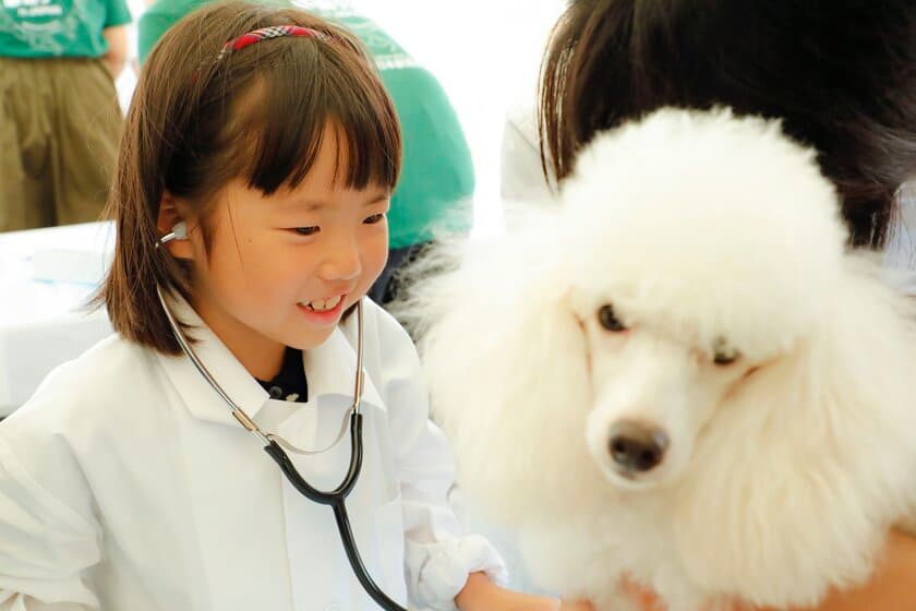 獣医師の仕事を知る・動物とふれあうイベント12月1日開催
『2018動物感謝デー in JAPAN “World Veterinary Day”』