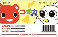 コポカ