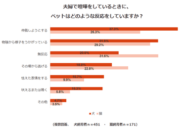 調査結果10