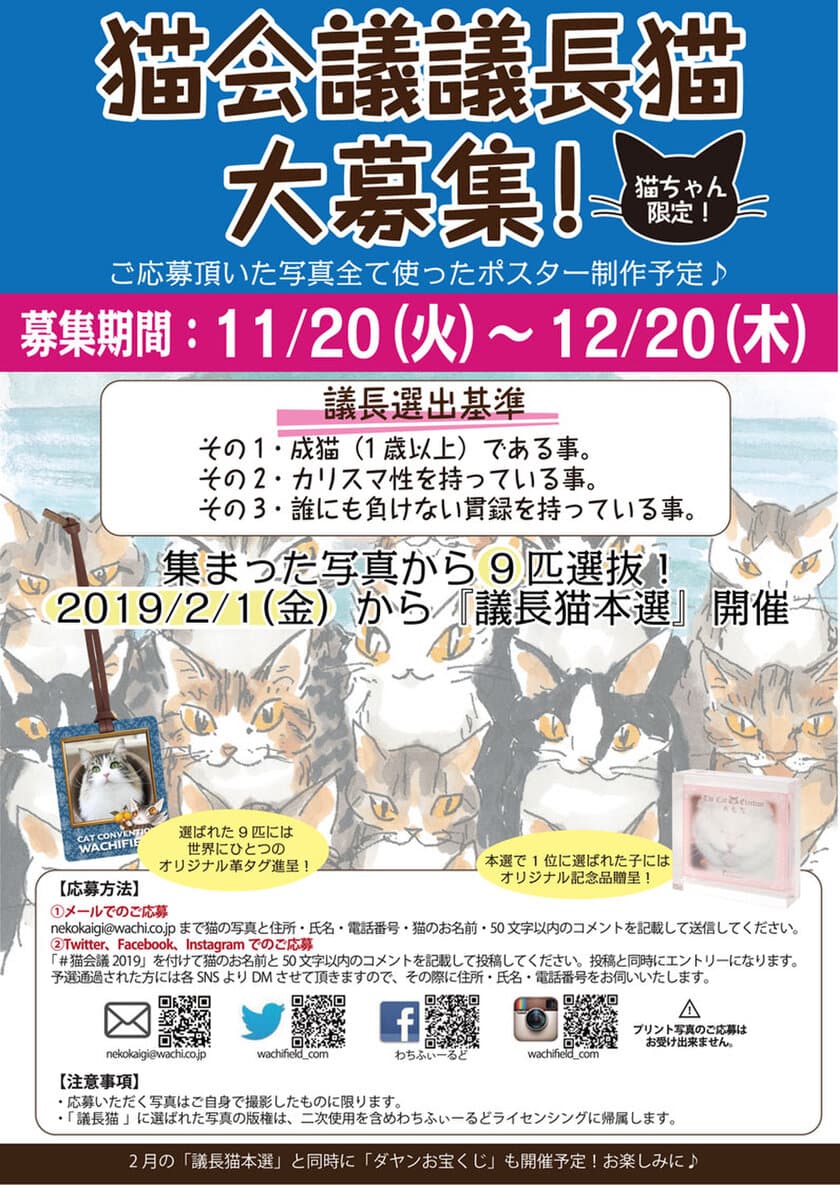 誰にも負けない貫禄あるカリスマ猫を「猫会議」議長として大募集！
選抜9匹には「ダヤン」コラボ オリジナル革タグプレゼント