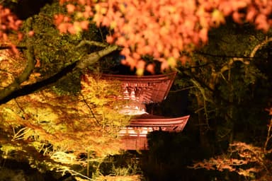 石山寺 国宝 多宝塔ライトアップの様子