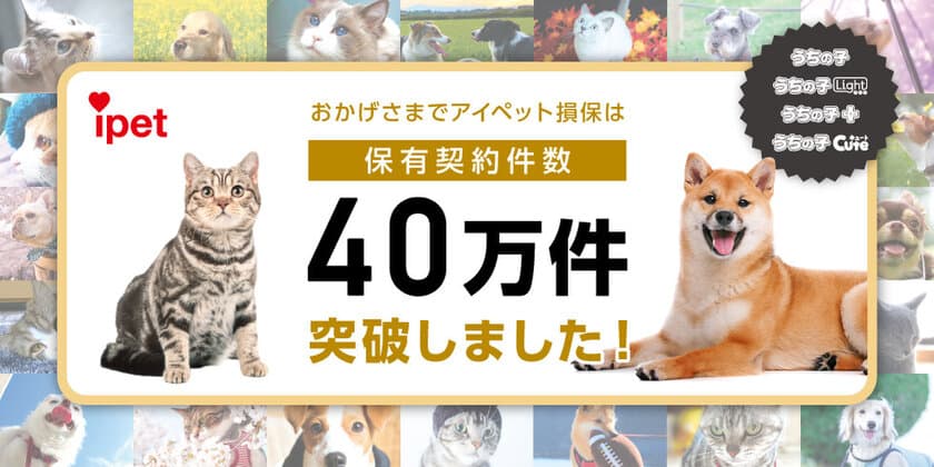 【ペット保険のアイペット】
保有契約件数が40万件を突破！