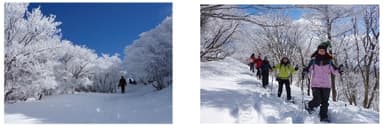 御在所岳の樹氷、御在所岳のアクティビティ（イメージ）