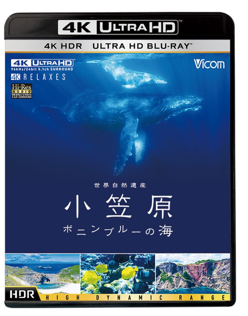 8K水中カメラによるザトウクジラの親子の姿は圧巻！
4K Ultra HDブルーレイ映像ソフト
『世界自然遺産 小笠原 ～ボニンブルーの海～』
12月14日に発売！