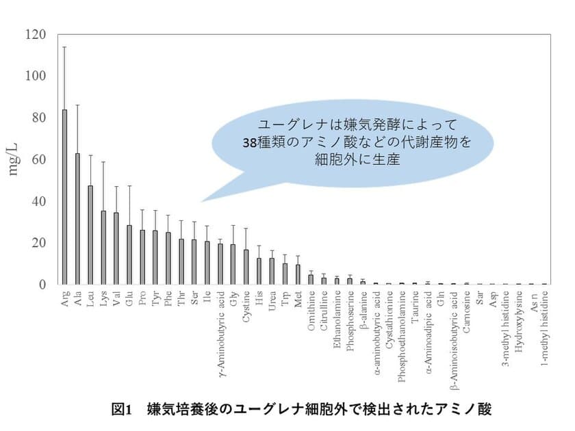 ユーグレナの光合成を活用した
アミノ酸生産の可能性を示唆
明治大学大学院農学研究科
環境バイオテクノロジー研究室
およびユーグレナ社の研究成果