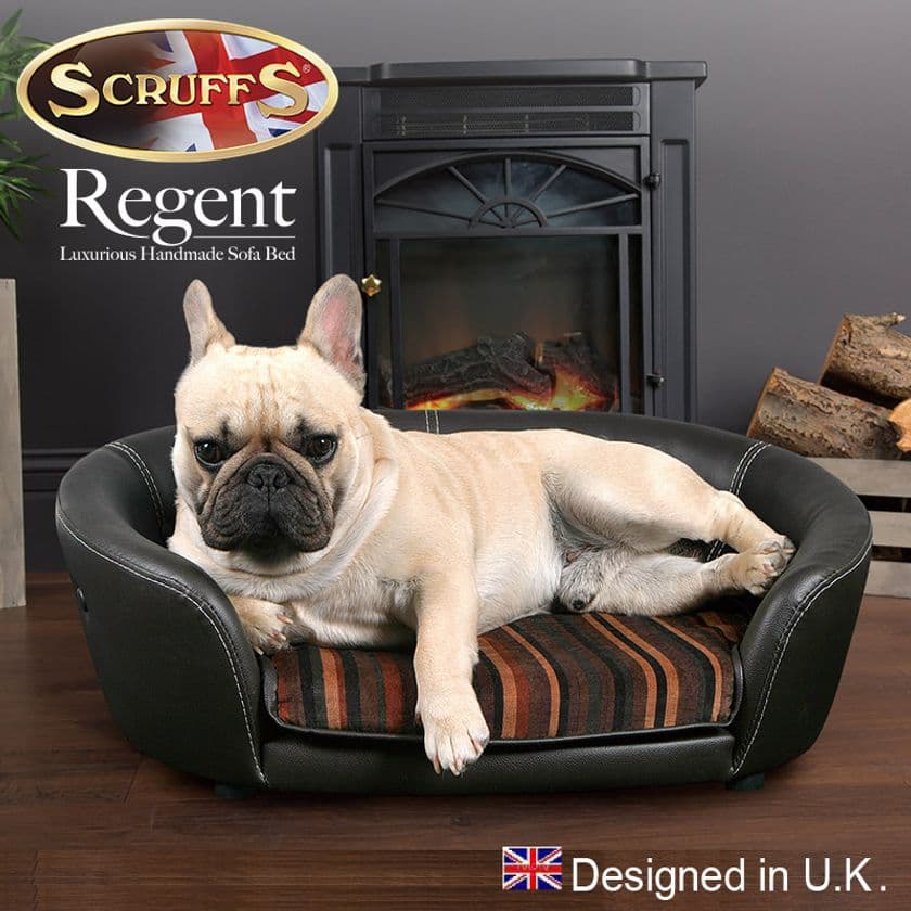 愛犬にもラグジュアリーな特等席！
イギリス発のペット用レザーソファ
SCRUFFS(R)「Regent Sofa Bed」を12月27日から販売