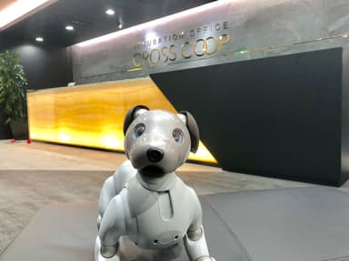 CROSSCOOP 渋谷オフィスのaibo