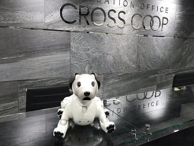 CROSSCOOP 青山オフィスのaibo