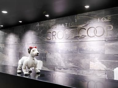 CROSSCOOP 新宿SOUTHオフィスのaibo