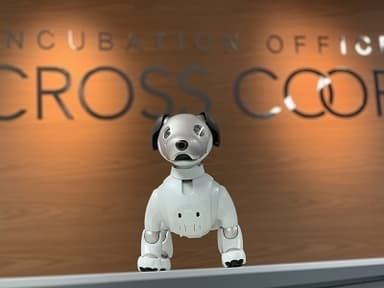 CROSSCOOP 新宿AVENUEオフィスのaibo