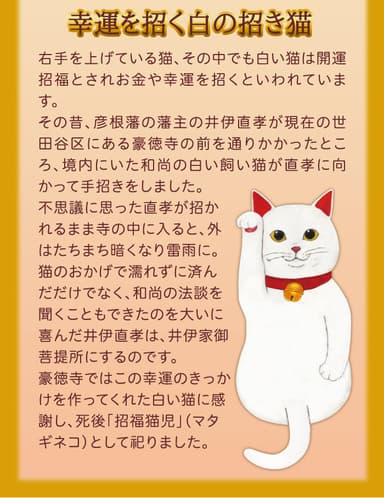 金運アップの招き猫！開運招き猫パンツ